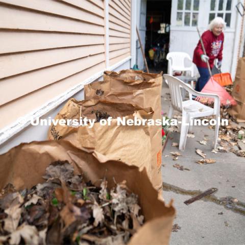 Bags of leaves raked by student volunteers and homeowner Terri Hatch during the Big Event. May 4, 2024. Photo by Kirk Rangel for University Communication.
